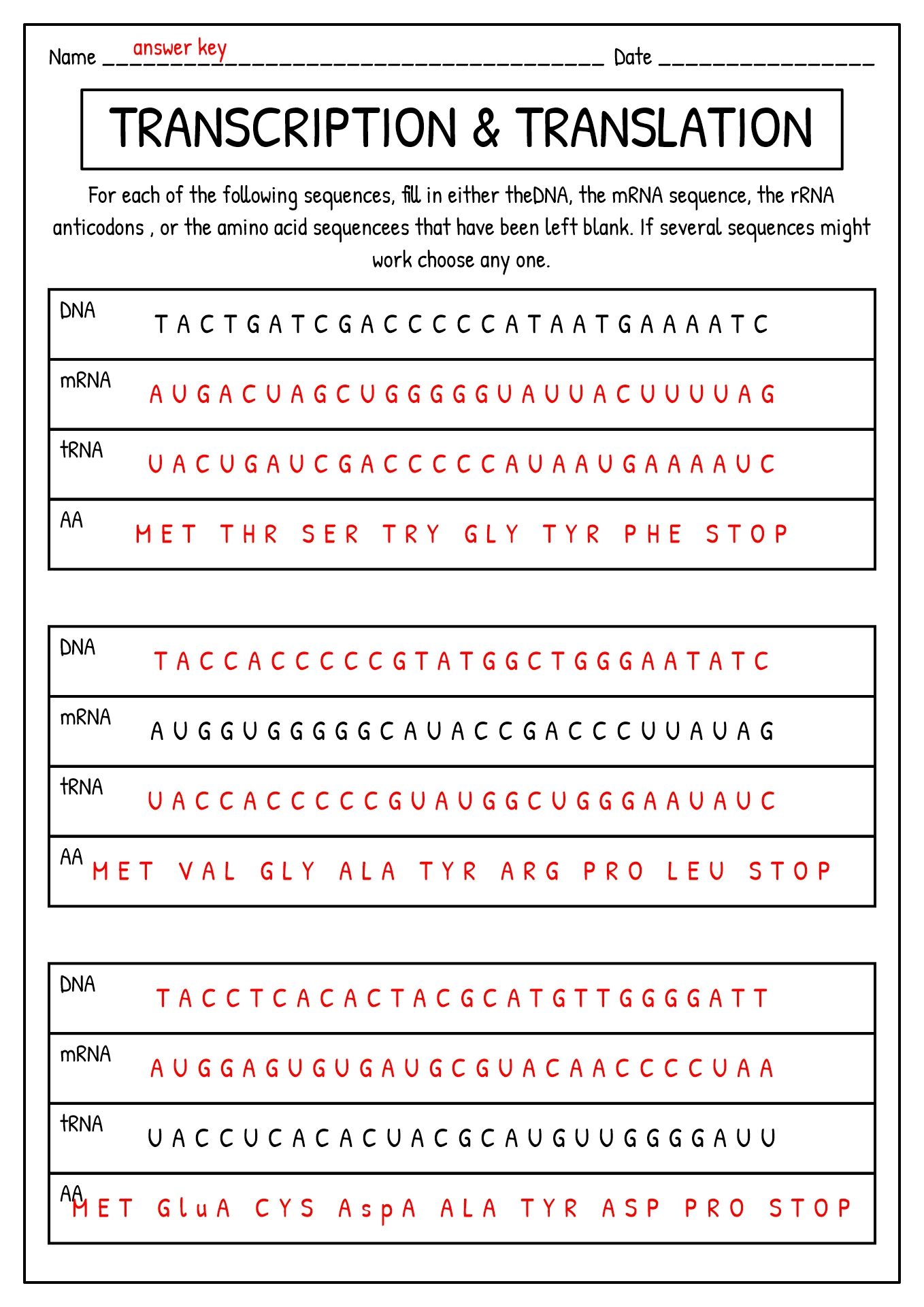 Dna Synthesis Worksheet Simplify And Enhance Your Learning