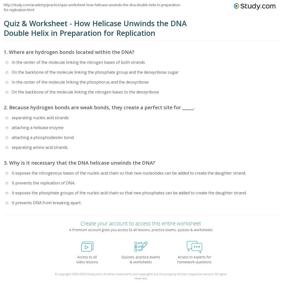 DNA Double Helix Worksheet Answers Explained