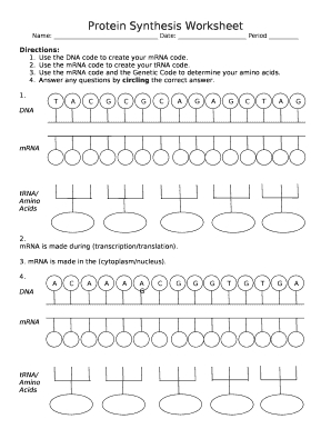 DNA Worksheet Answers Made Easy