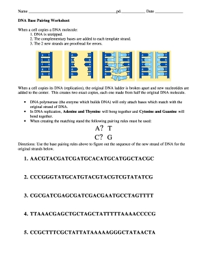 7 Essential DNA Worksheet Answers for Students