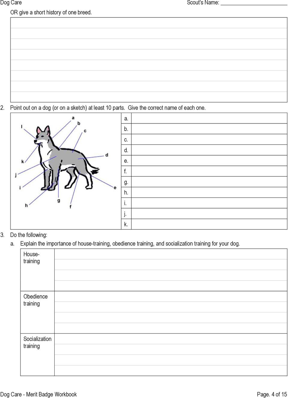 Dog Care Merit Badge Workbook