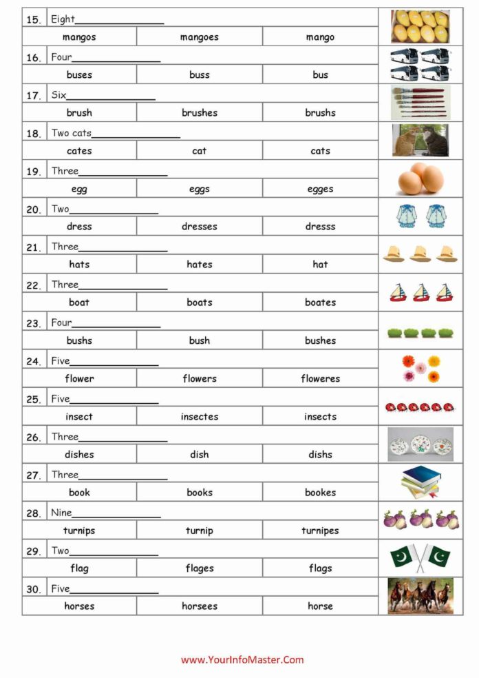 Easy Way Of Teaching Singular And Plural Nouns Your Info Master