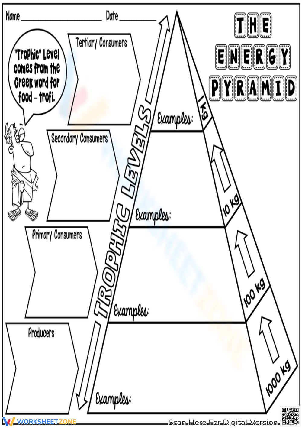 Ecological Energy Pyramid Worksheet Answer Key