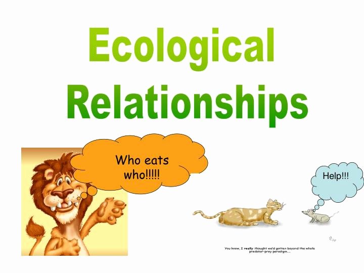 Ecological Relationships Worksheet Explained