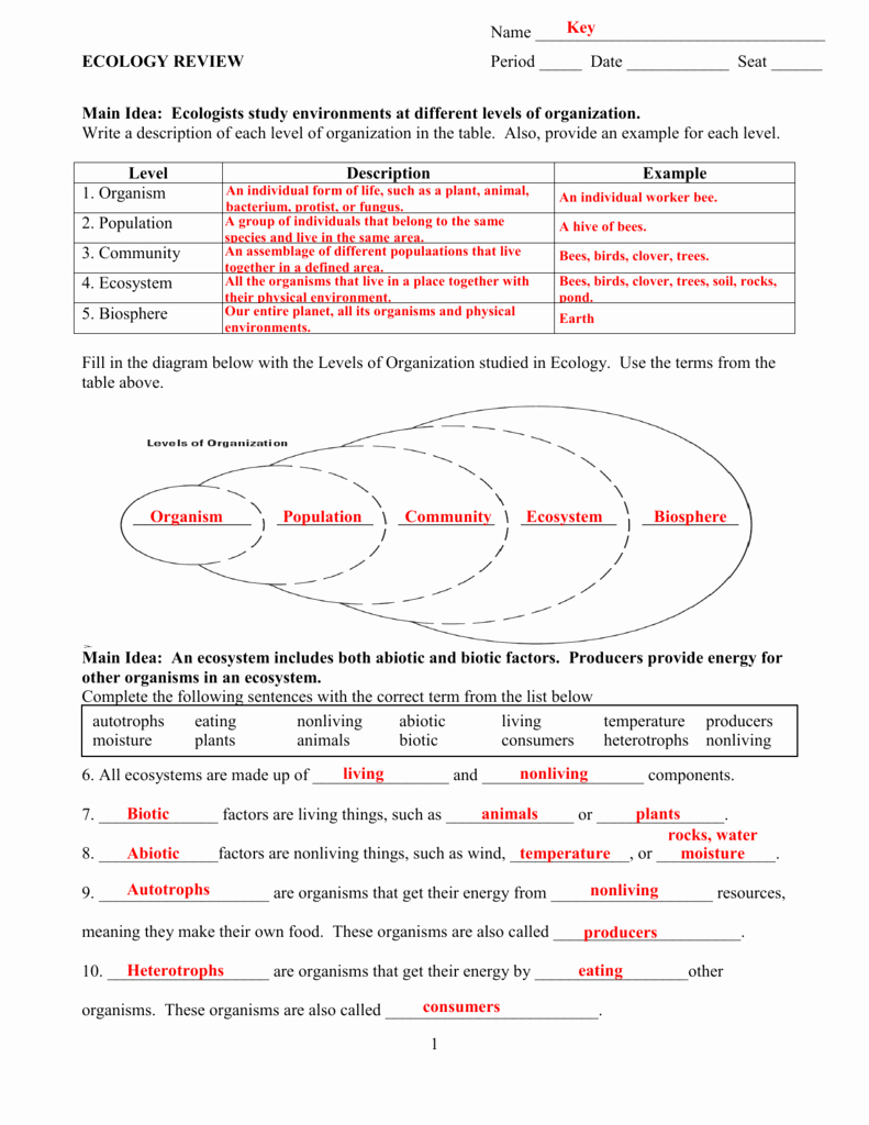 Ecology Review Worksheet #1: Mastering the Basics