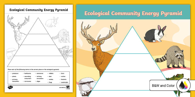 5 Ways to Master Energy Pyramid Practice