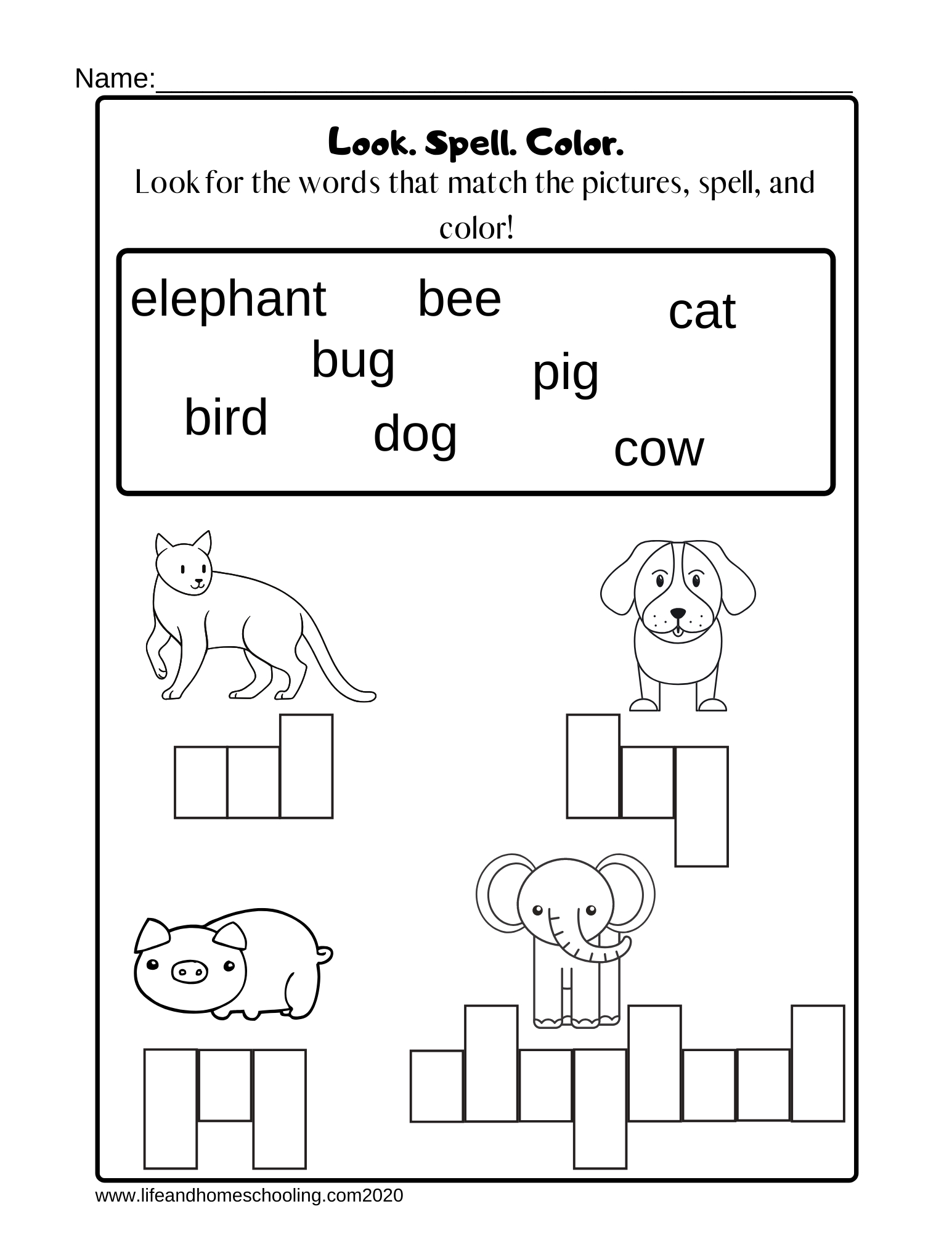 English Worksheet Pdf