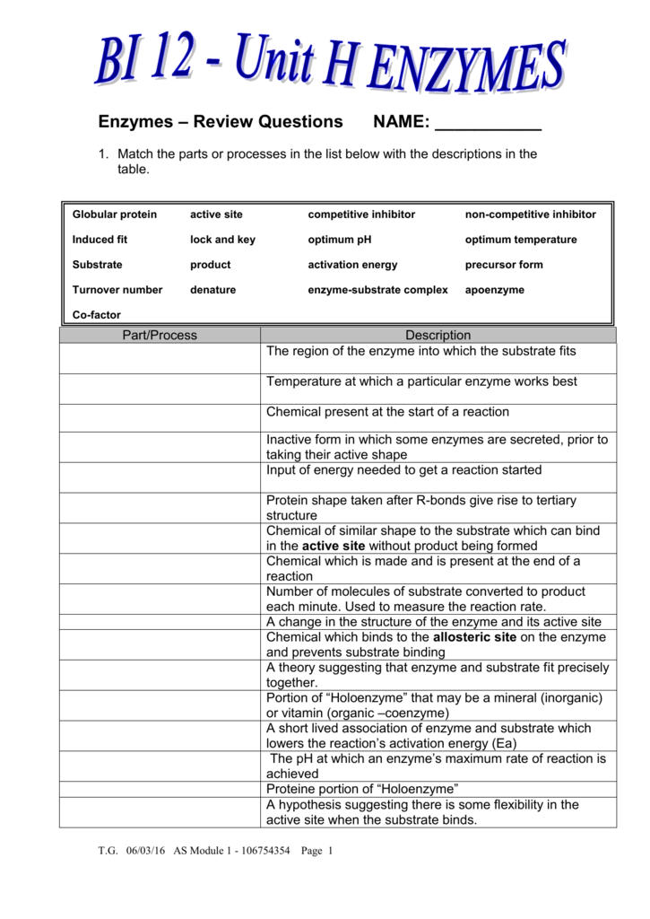 5 Essential Enzyme Worksheet Answer Key Tips