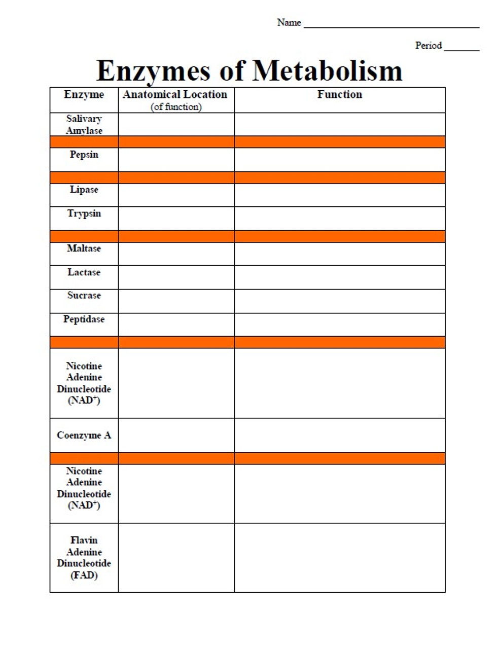 Enzymes Review Worksheet Essentials for Biology Success