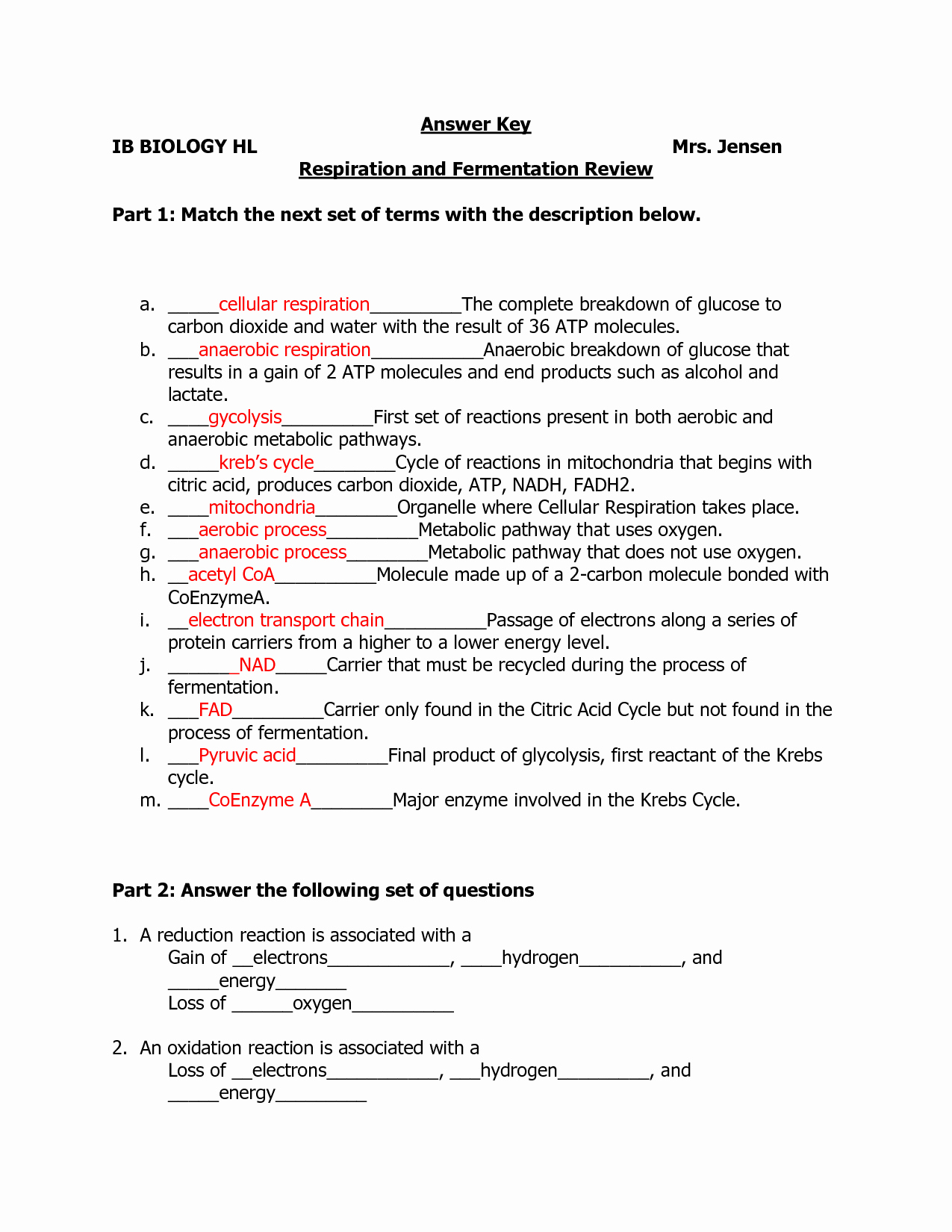 Enzymes Worksheet Answer Key for Biology Students