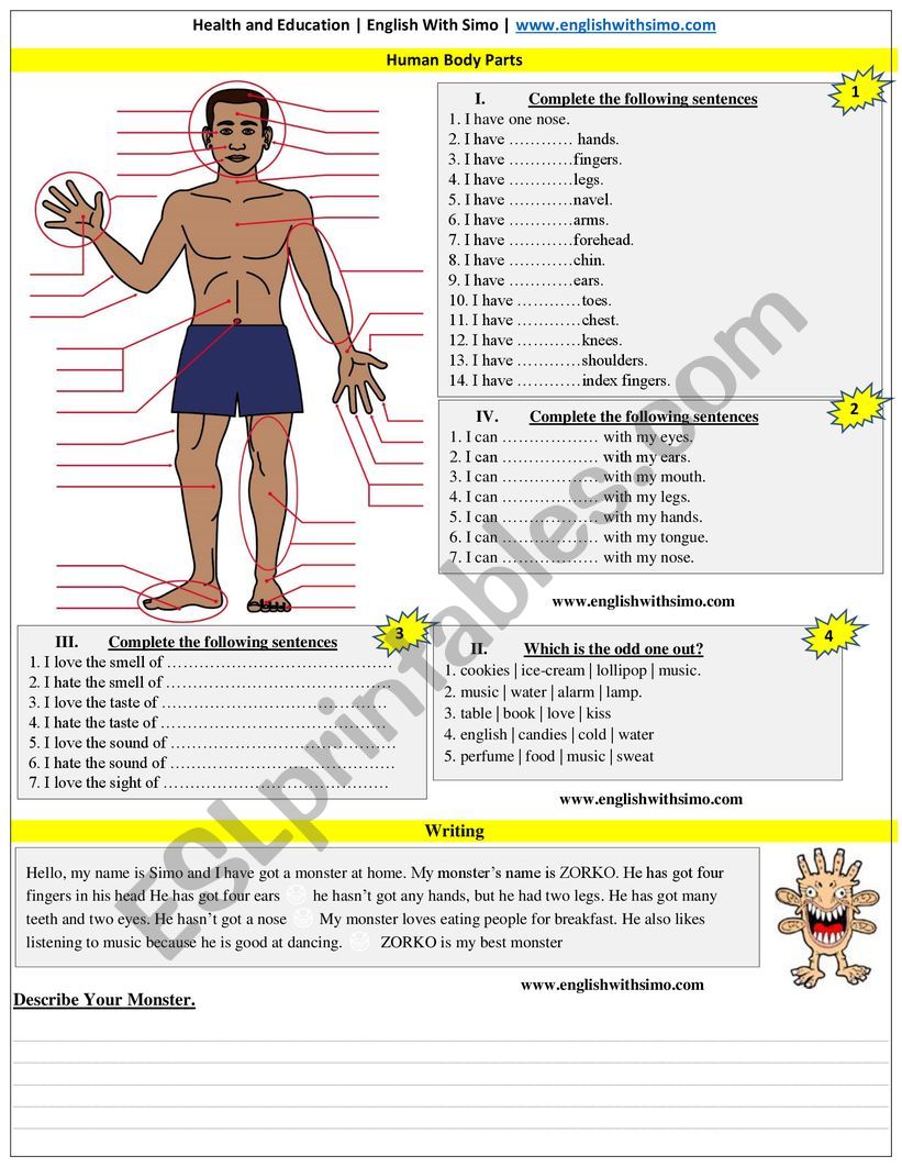 5 Essential ESL Body Parts Worksheets for Beginners