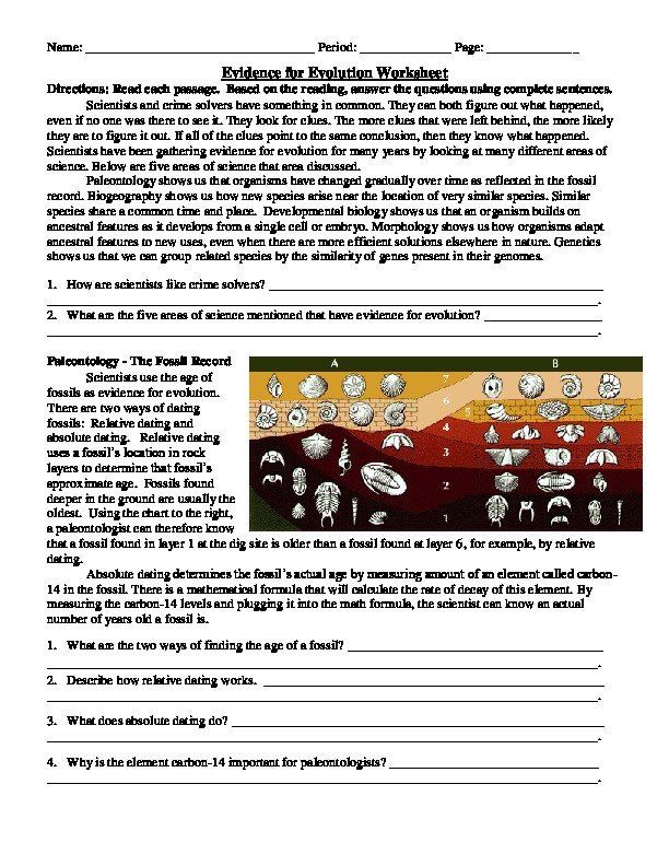 7 Key Evidence for Evolution Worksheet Answer Key