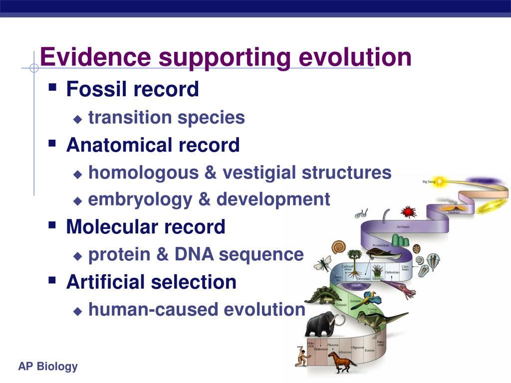 5 Ways Evolution Evidence Supports Darwin's Theory