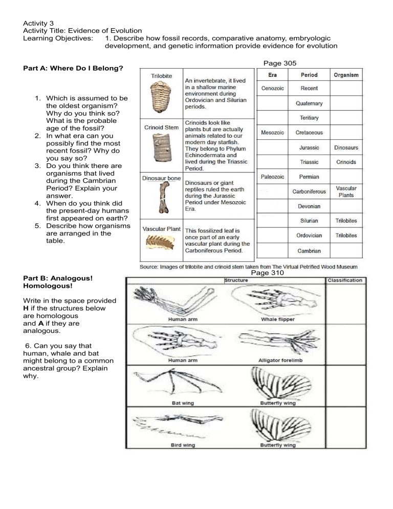 Evidence of Evolution Worksheet Answer Key