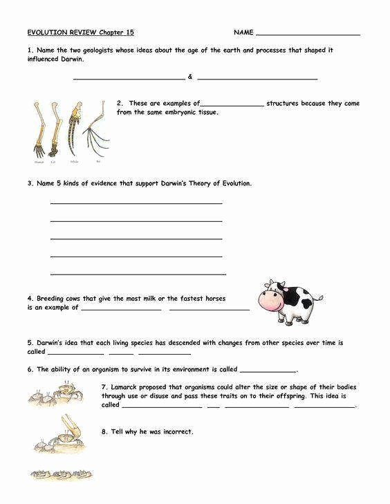 Evidence of Evolution Worksheet Answers