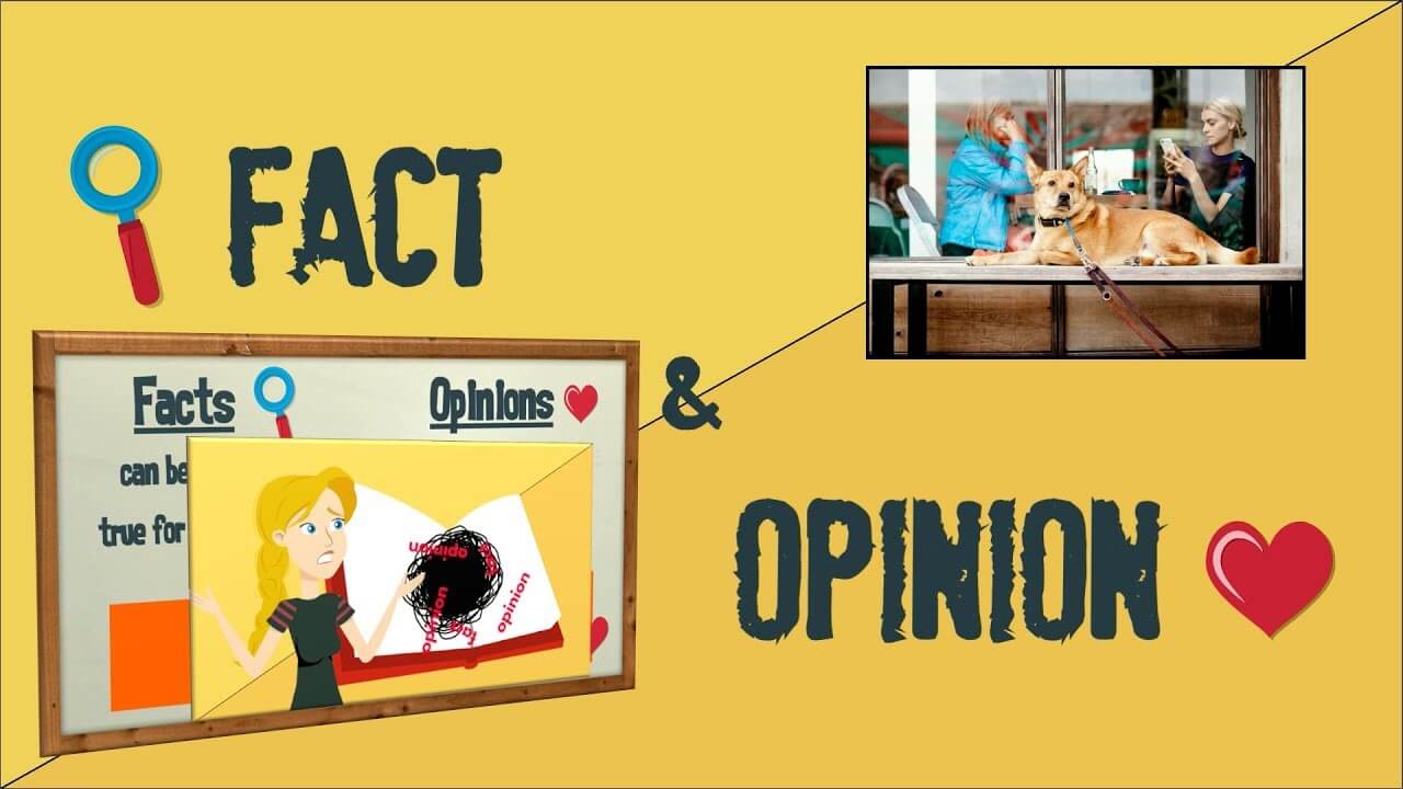 Fact vs Opinion Worksheet: Identify the Difference