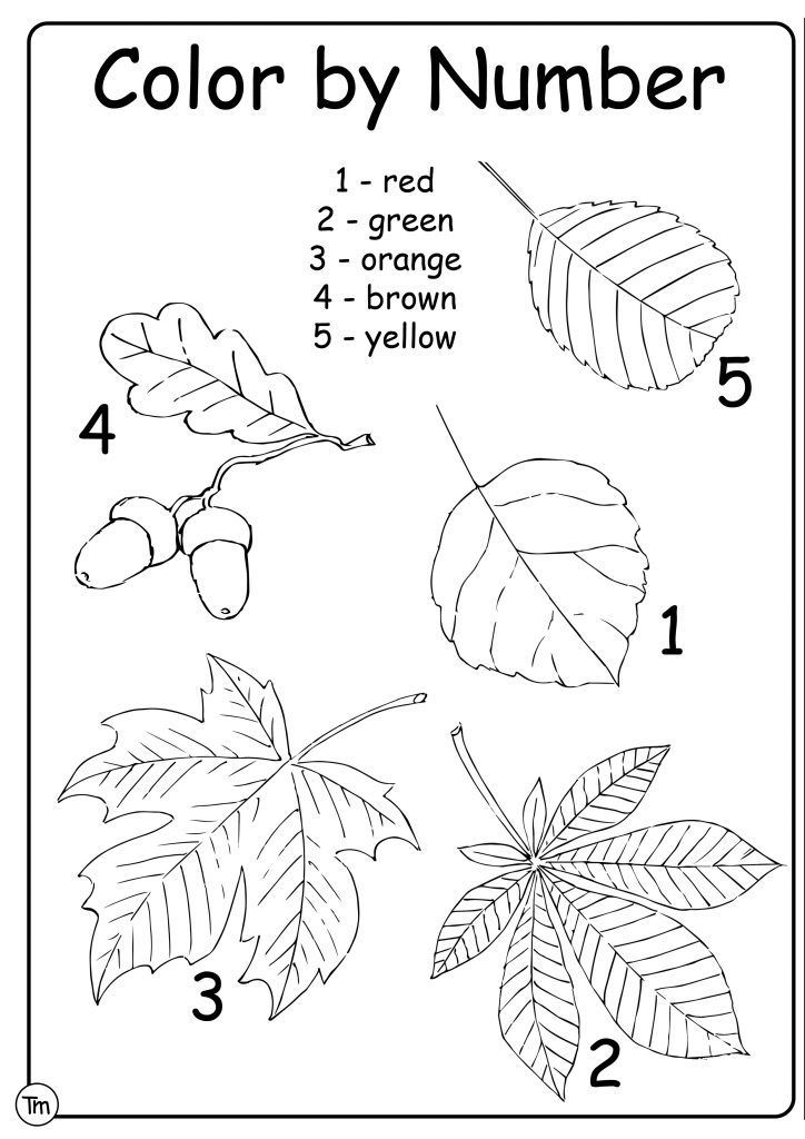 Fall Kindergarten Worksheets for Early Learners