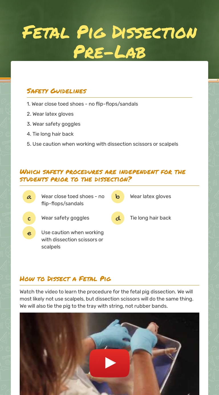 Fetal Pig Dissection Pre Lab Worksheet Essentials