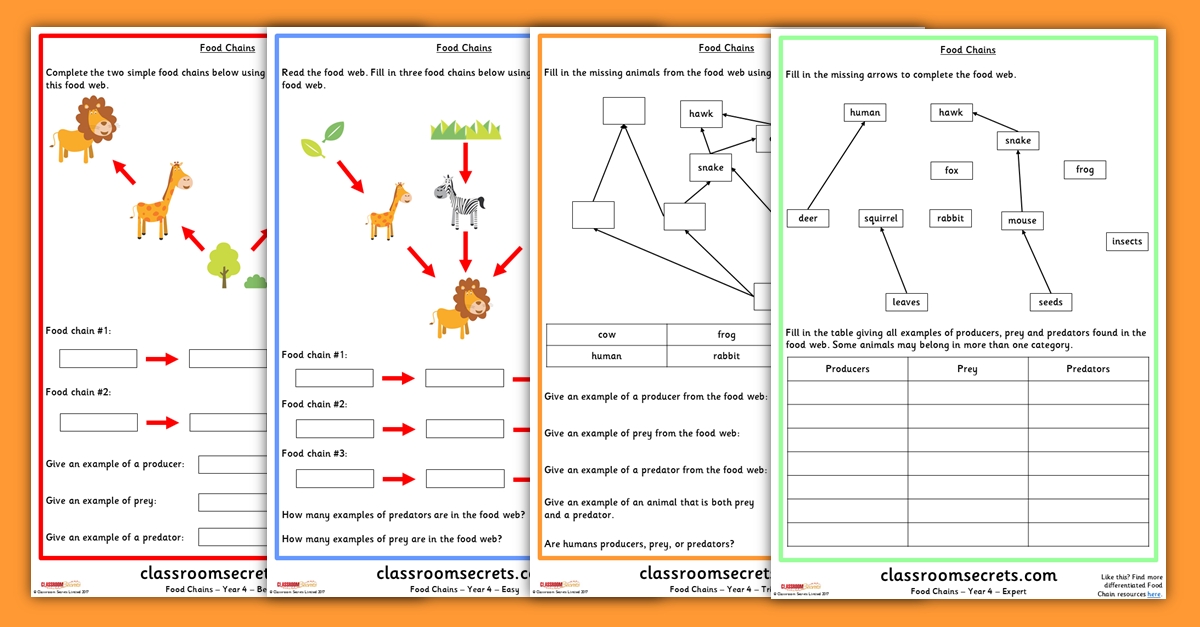 Food Chains and Food Webs Worksheet Answers