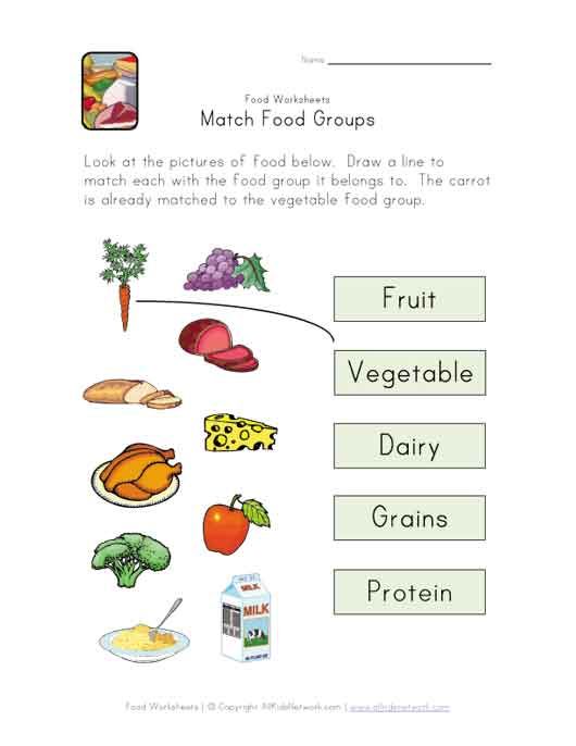 Food Groups Worksheets For Kindergarten