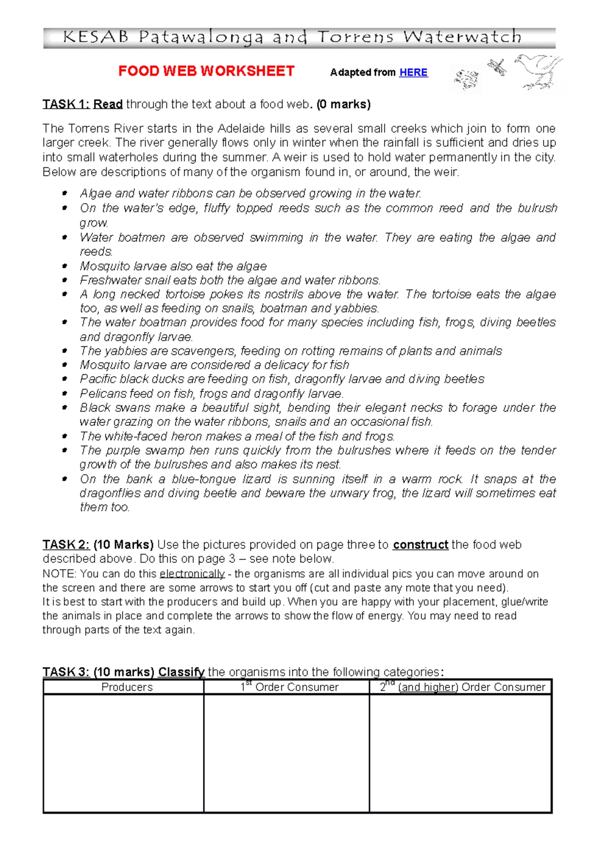 Food Web Review Worksheet Answer Key Guide