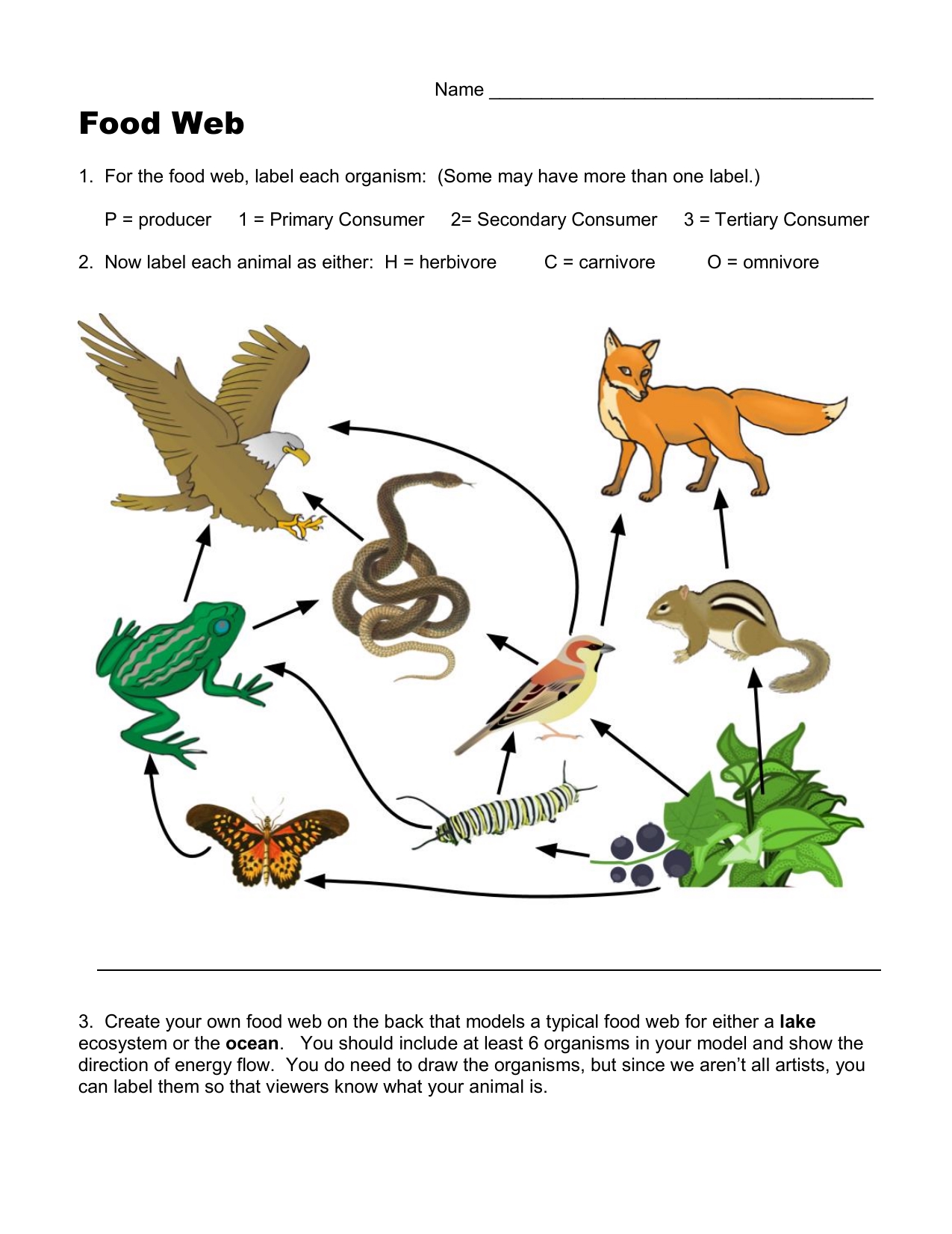 5 Essential Answers to Food Webs and Chains Worksheet