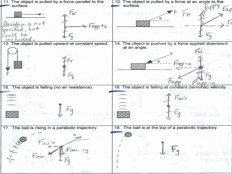 Free-Body Diagram Worksheet Answers & Solutions