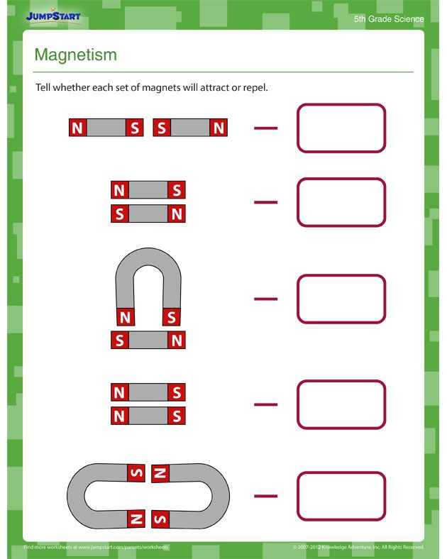 Free Kindergarten Worksheets 2Nd Grade Worksheets Kindergarten Science Science Worksheets