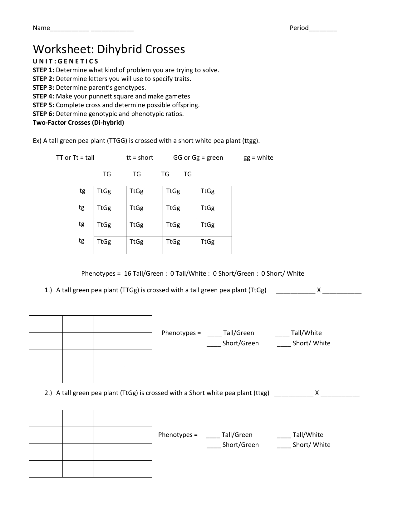 Free Printable Punnett Square Worksheet