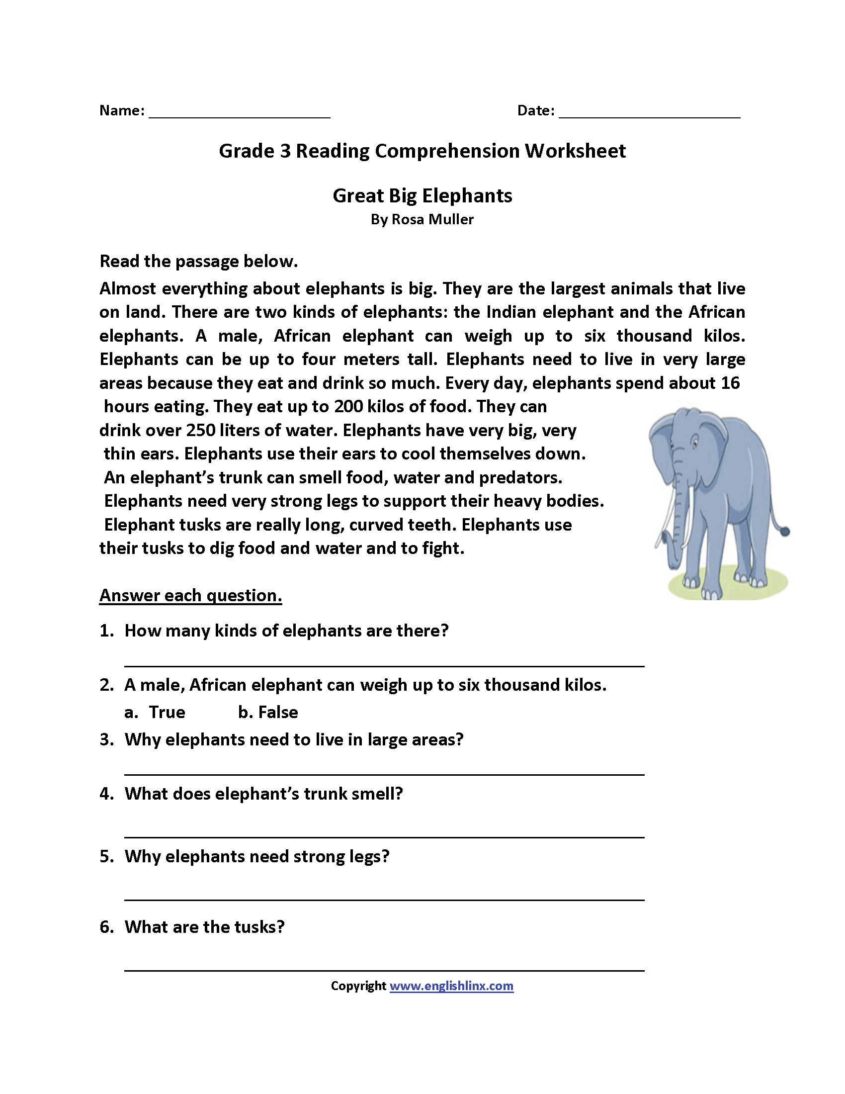 20 Free Reading Worksheets for 3rd Grade Students