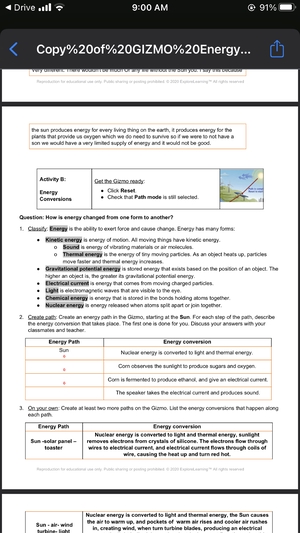 From Ants to Grizzlies Worksheet Solutions