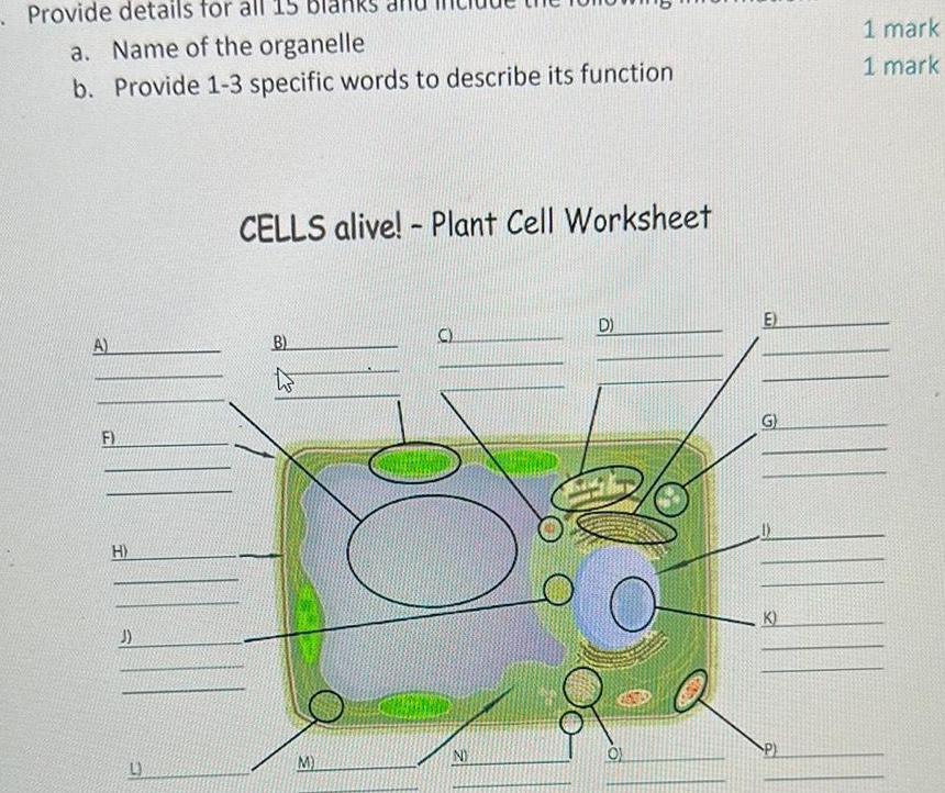 5 Gattaca Movie Worksheet Answers