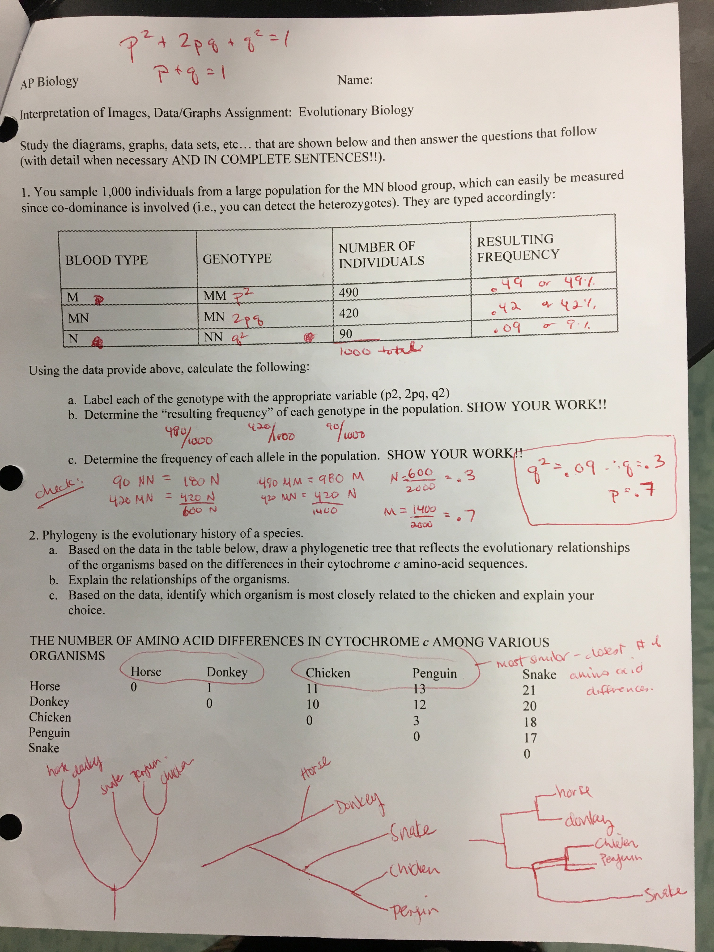 Gene Expression Worksheet Answer Key