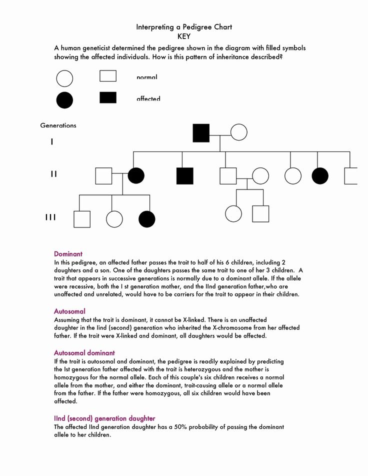 Genetics Pedigree Worksheet Answer Key Everything You Need To Know Athens Mutual Student Corner