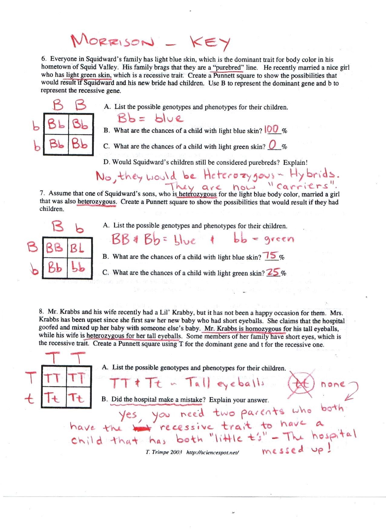 Genetics Practice Problems Worksheet Answer Key