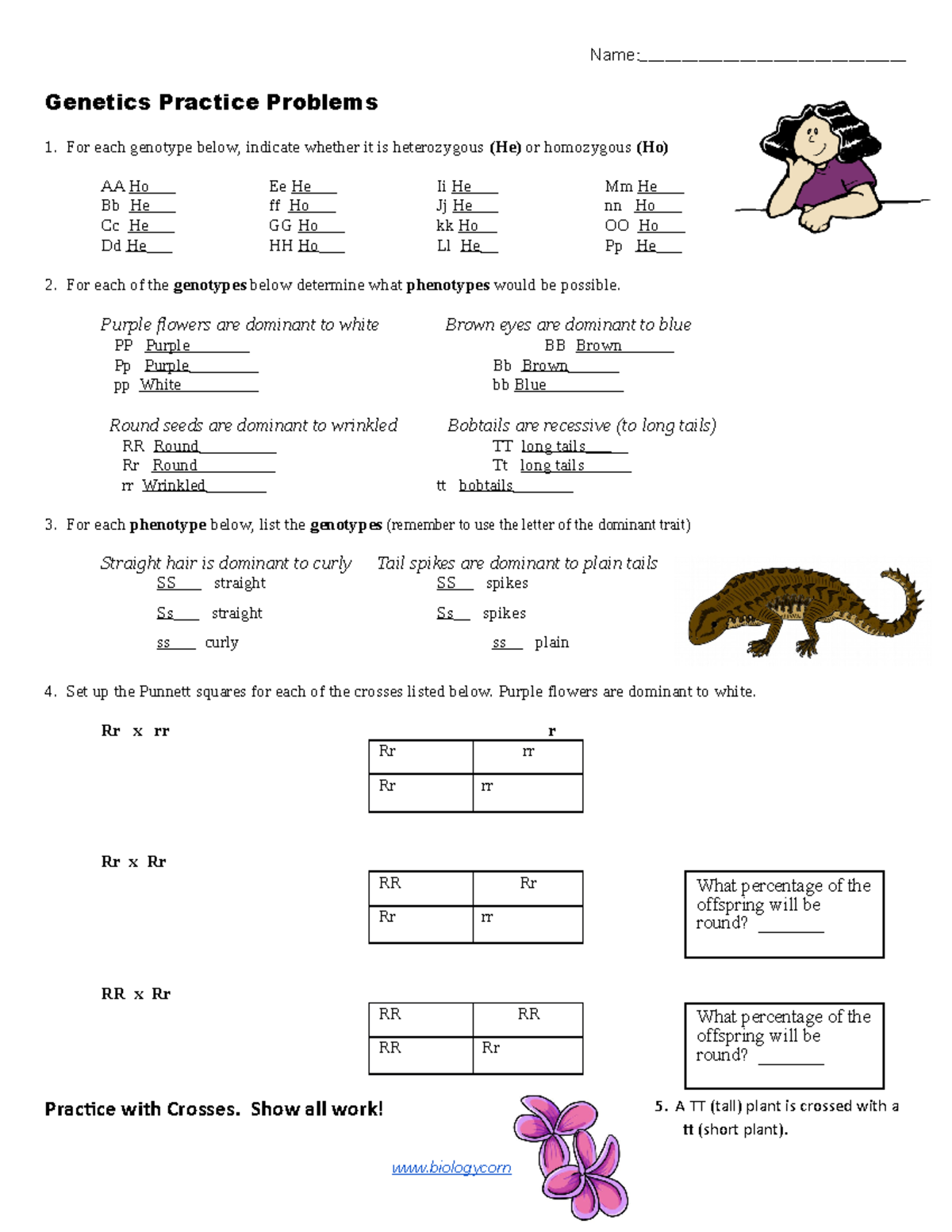 Genetics Practice Problems Worksheet Pdf