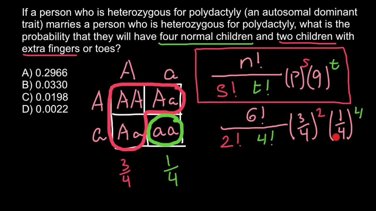 7 Ways to Solve Genetics Problems Easily