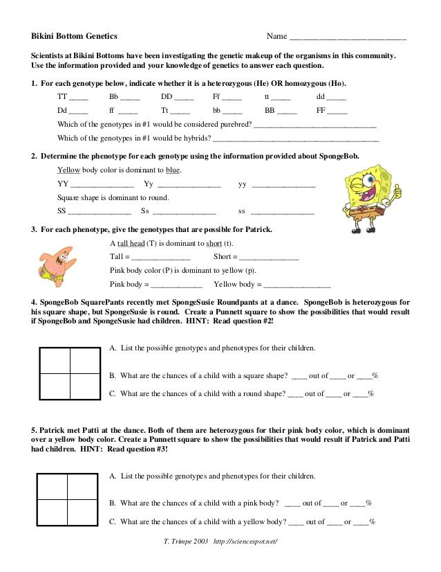 5 Ways Genetics Meets Spongebob