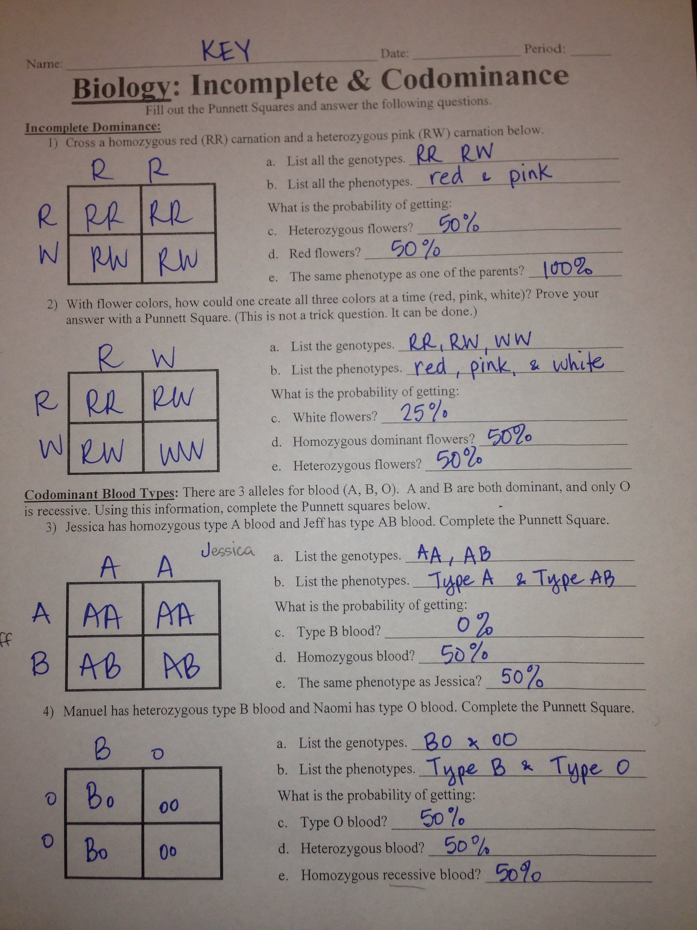 Genetics Worksheet Answer Key Pdf