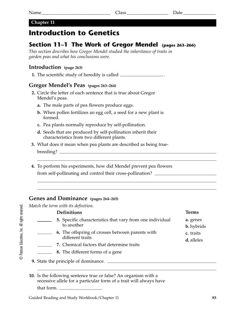 Genetics Worksheet Answer Key for Students