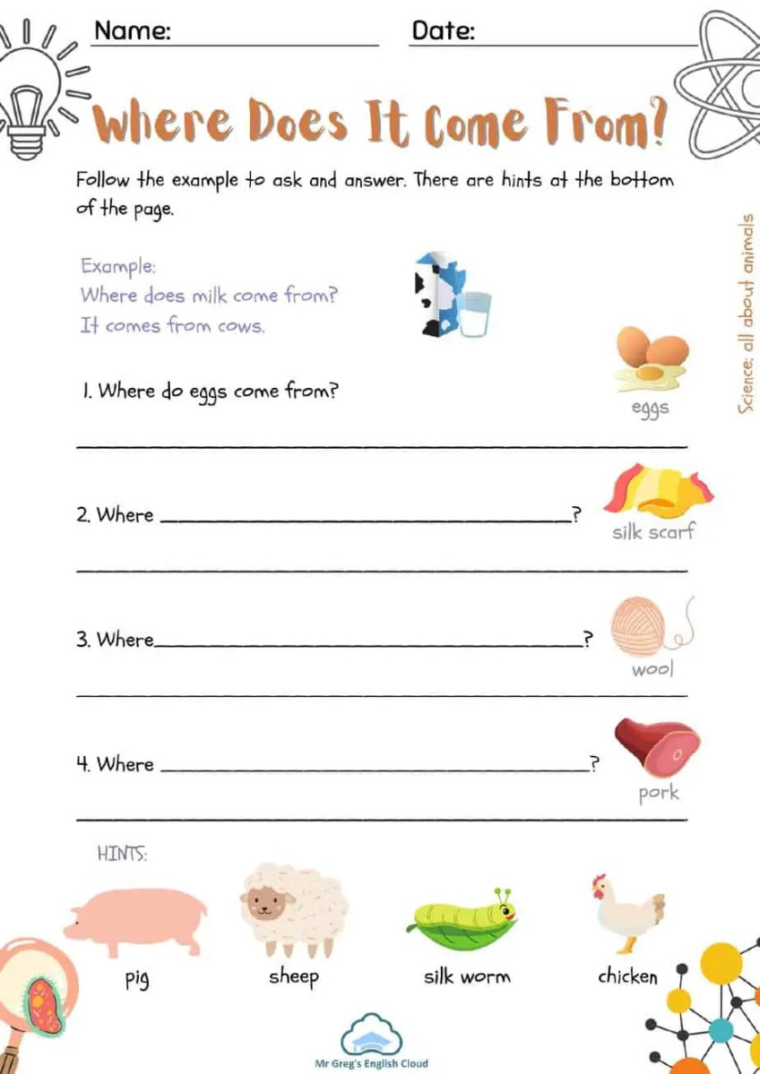 Fun Grade 2 Science Worksheets for Kids