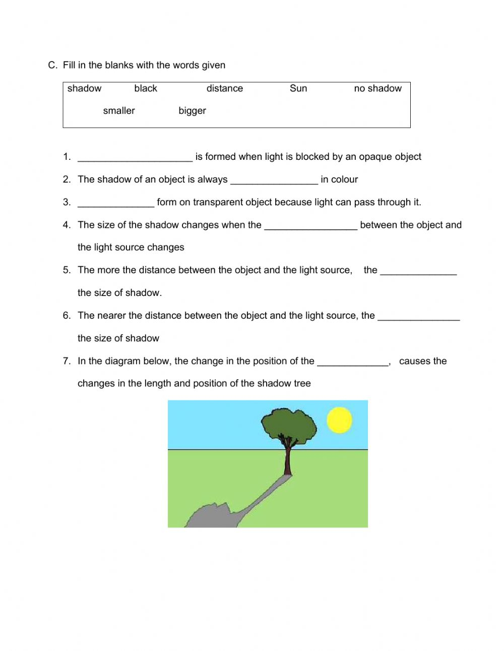 Grade 5 Science Worksheets for Kids to Learn and Explore