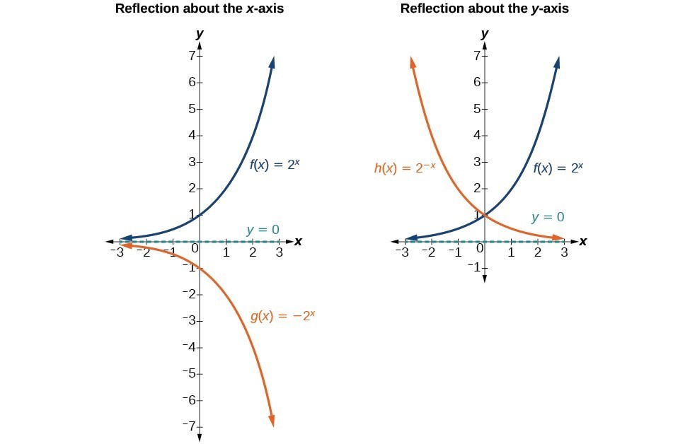 Graphing Exponential Functions Worksheet 2