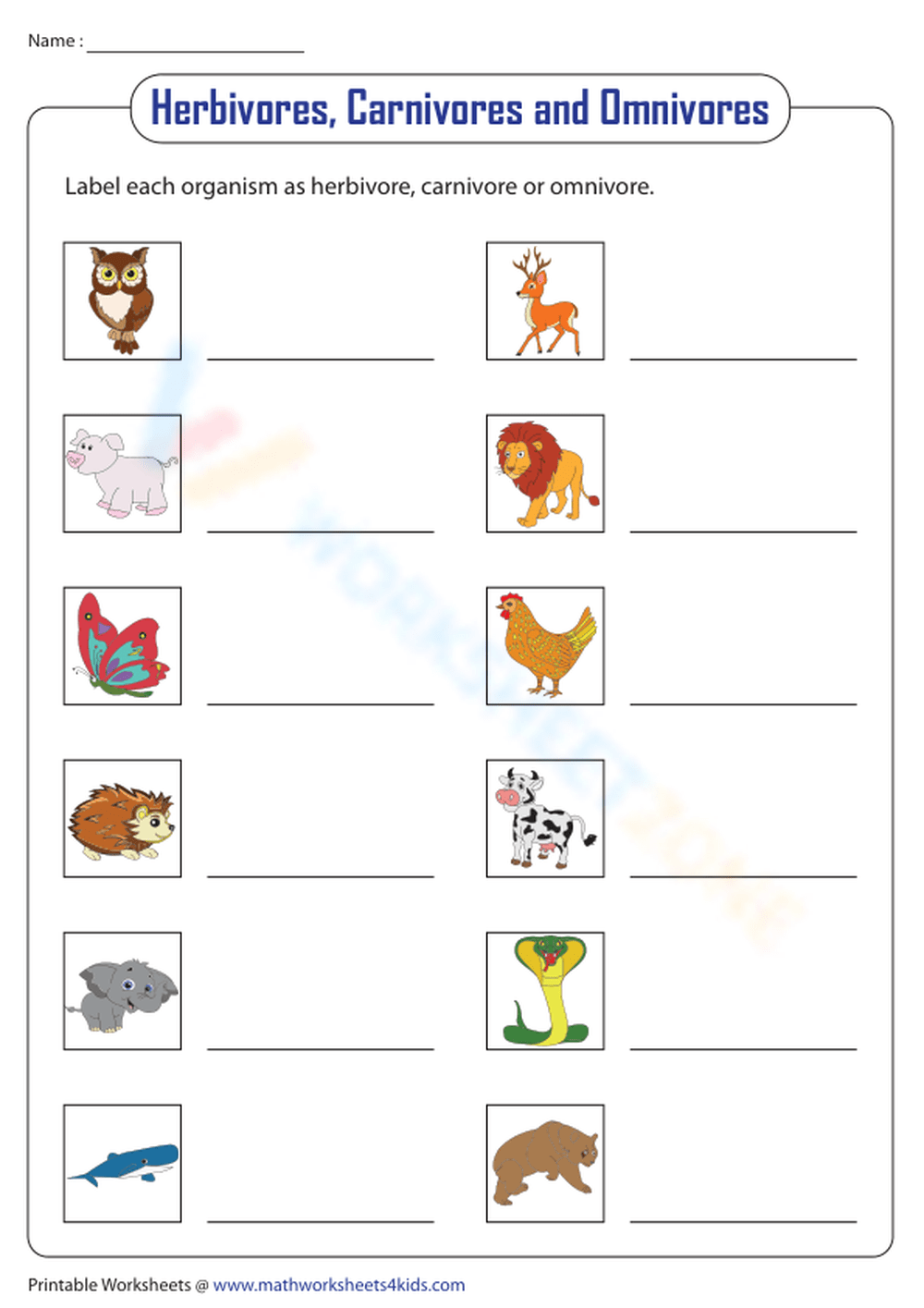 Herbivore Carnivore Omnivore Worksheet Pdf