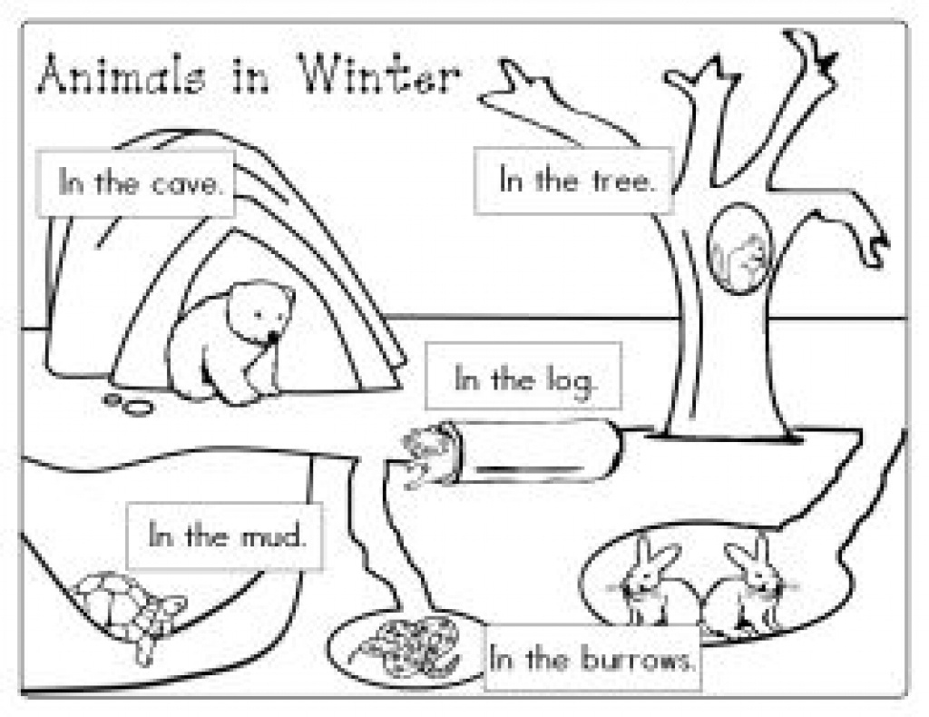 Hibernation Worksheets