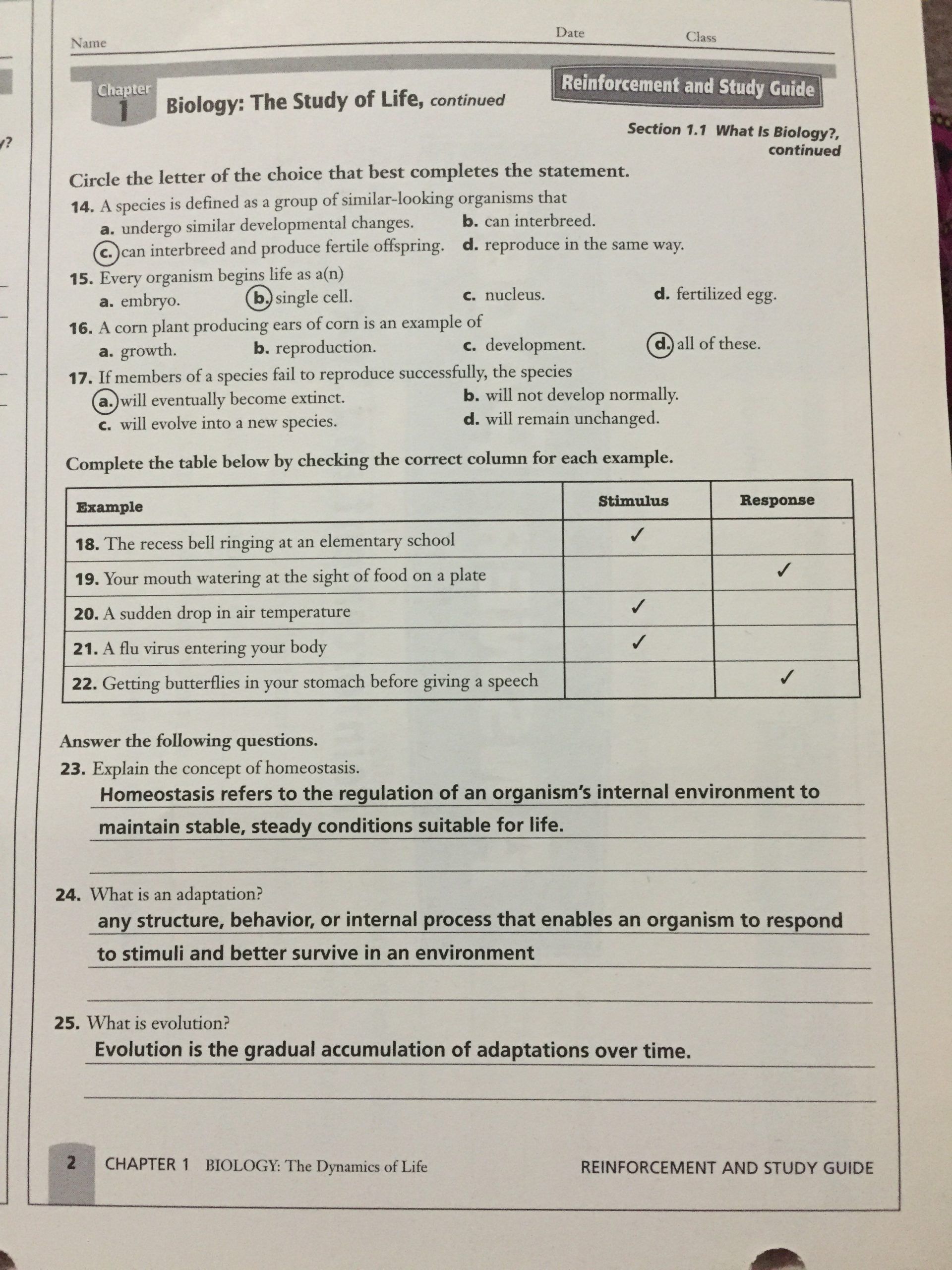 Homeostatic Imbalance and Stress Worksheet Answers Explained