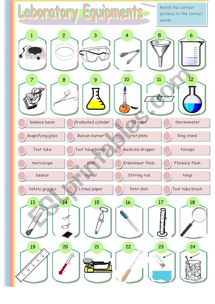 Identifying Lab Equipment Worksheet