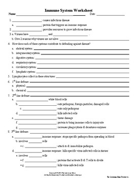 Immune System Worksheet Pdf