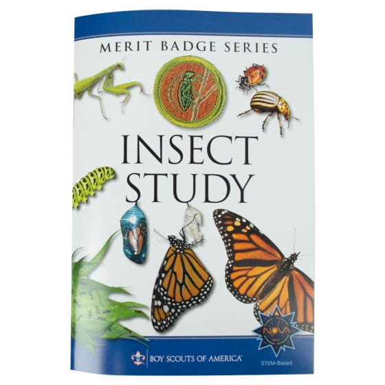 Insect Study Merit Badge Worksheet