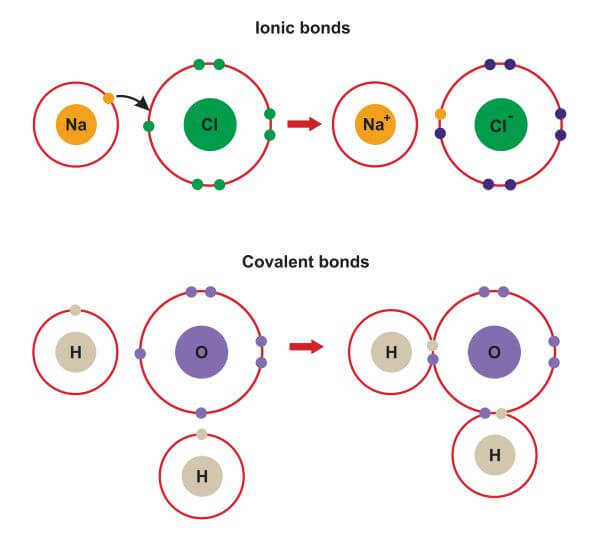 Mastering Ionic and Covalent Bonds Made Easy